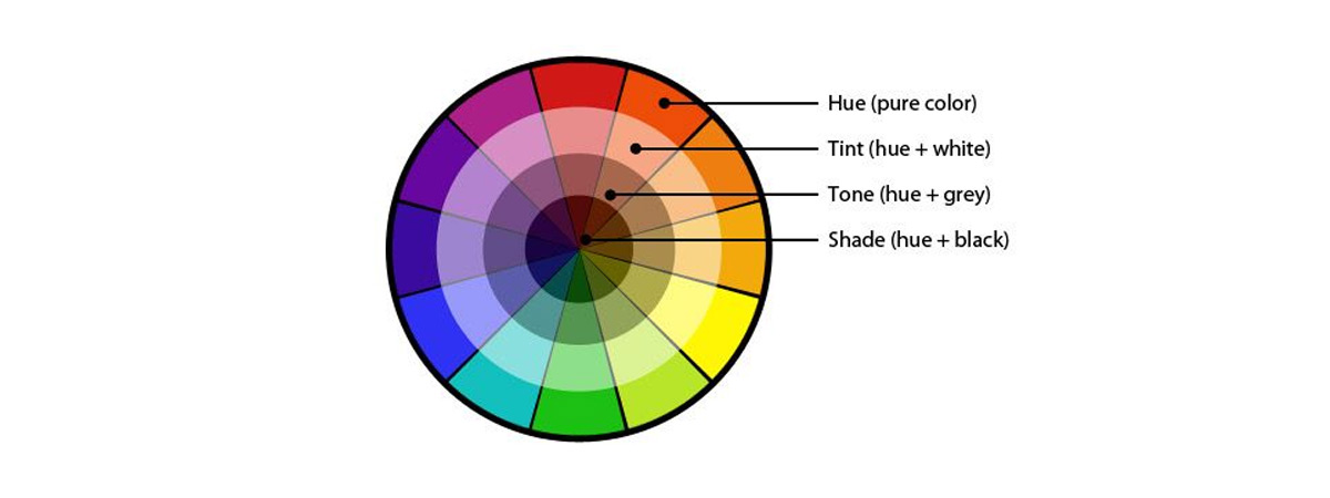 Qu'est-ce qu'une roue chromatique ? - Le faucon des mers